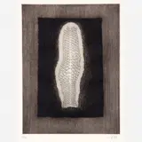 Arthur Luiz Piza, Untitled