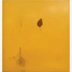 Luiz Carlos Carvalhosa, Untitled, Cera, resina e argila sobre madeira