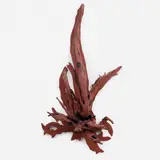 Untitled by Frans Krajcberg, Escultura em madeira pintada, offered Oct 2012