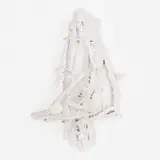 Untitled by Frans Krajcberg, Escultura em madeira pintada, offered Oct 2012