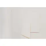 Sergio Camargo, Relevo, 1983