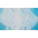 Sandra Cinto, Céu, 1995