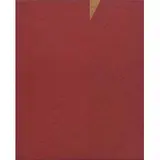 Mira Schendel, 1984