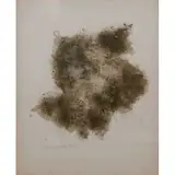 Frans Krajcberg, Untitled