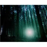 Edouard Fraipont, Dartmoor#1, 2007, C-PRINT