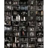 Julio Bittencourt, Edifício Prestes Maia, 2006, Fotografia backlight