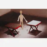 Cildo Meireles, Camelô, 1998