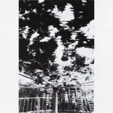 Cao Guimarães, Histórias do não ver, 2001-2008, C-PRINT