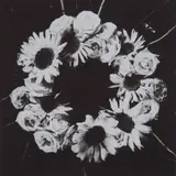 Claudia Jaguaribe, 1988, C-PRINT