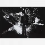Paula Sampaio, Terra Alta Ito, 1998-2006, C-PRINT