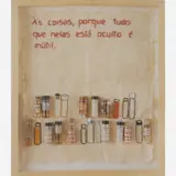 Marta Neves, As coisas, porque tudo que nelas está oculto é inutil, c. 2000, Bordado e vidros de remédio