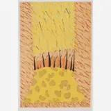 Cildo Meireles, 1973-1985, Serigrafia