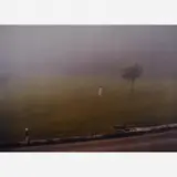 Brígida Baltar, A coleta de neblina #1, 1998, C-PRINT