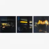 Matheus Rocha Pitta, Carro, caverna, cavalo, da série Diagramas para drive-in, 2006, C-PRINT