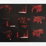 Miguel Rio Branco, Streaptease forain, 1985. Políptico com 9 partes