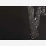Geraldo de Barros, Sobras, 1996-1998