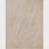 Frans Krajcberg, Untitled