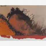 Artur Barrio, Untitled