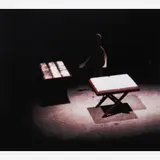 Cildo Meireles, Camelô, 1998