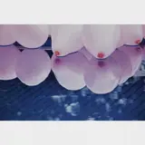 Eduardo Muylaert, Da série Pink Paradise, 2008, Metacrilato
