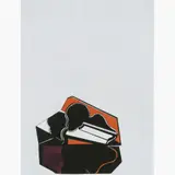 Artur Barrio, Projeto, 1969