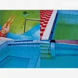 Adriana Varejão, Piscinas, 2005