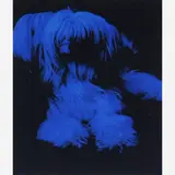 Alexandre Herchcovitch, Berenice Indigo, 2009, C-PRINT