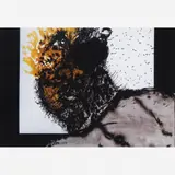 Artur Barrio, No 50, 1993