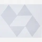 Caetano de Almeida, Estava tudo lá, 2005, Acrílica e poeira sobre tela
