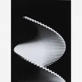 Ascânio MMM, 2004, Madeira pintada