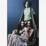 Antonio Guerreiro, Caetano, Gal e Bethania, c. 1970- 2009, Pigmento mineral sobre papel de algodão