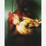 Claudio Edinger, Andaraí, 2006, C-PRINT