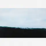 Caio Reisewitz, Butantã, 2003, C-PRINT