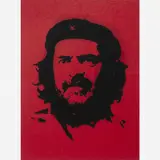 Raul Mourão, Che-Lula Guevara, 2008