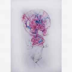James Roper, The Ecstasy of Amy Reid, 2009, Mista sobre papel