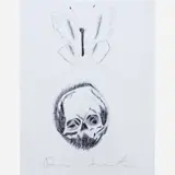Damian Hirst, Skull with butterfly, 2006, Esferográfica sobre papel