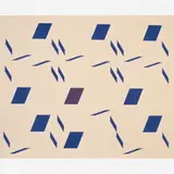 Hélio Oiticica, Metaesquema Projeto Ho