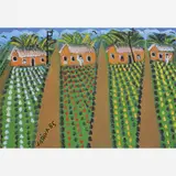 José Antônio da Silva, Plantação