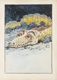 Jaroslav Panuška, Dragon of Fate