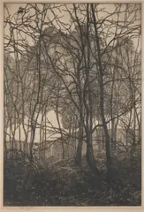 Vojtěch Preissig, Forest, Around 1900, Etching, paper