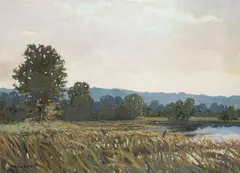 Jaroslav Panuška, In the Reeds, 1915, Oil on cardboard