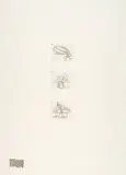 Markus Raetz, "…anne…"-Trilogie II, 1970, Etching on Rives wove paper with watermark