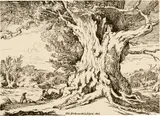 William Alfred Delamotte, Resting, Men and Dogs Under a Big Tree, 1802, Lithograph on wove paper