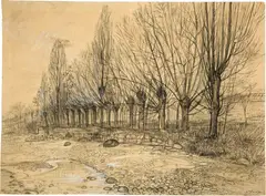 Albert Trachsel, Weidenbäume am Flussufer, Charcoal drawing heightened in white, on wove paper