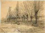 Albert Trachsel, Weidenbäume am Flussufer