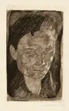 Käthe Kollwitz, Frauenkopf, 1905 ?, Line and surface etching, drypoint
