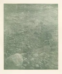 Cima del Mar by Franz Gertsch, 1990, Woodcut in turquoise (blue). Cobalt blue dark, azurite, vivianite, pear charred and ultramarine blue (Rembrandt), offered Jun 2022