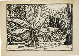 Musapflanze im Park (Bürgerwiese in Dresden) by Ernst Ludwig Kirchner, 1906, Holzschnitt, offered Jun 2019