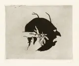 Markus Raetz, Schattenbild. - Zum KopfschÃ¼tteln, 1970 und 1971, Radierung mit Aquatinta und Radierung