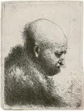 Rembrandt Harmensz van Rijn, Kahlkopf, nach rechts gewendet - Vielleicht Rembrandts Vater